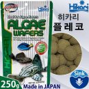 히카리 - 용인시 수지구 현암로 111 | 히카리