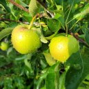 엘림농장 이미지