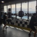 DS복싱클럽 이미지