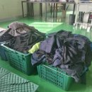 첨단세탁 이미지