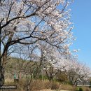 양주별산대놀이마당 공연장 이미지