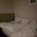 풀빌라 앨리 | 10개월 아기랑 제주도 동쪽 가성비 자쿠지 숙소 앨리도스파앤풀빌라 솔직 후기