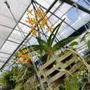 늘푸른농원 이미지