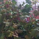 진성이발관 이미지