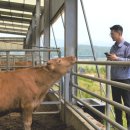 늘찬목장 이미지