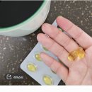 지에스25 독산하이점 | 닥터파이토(파이토블락, 덴티백, 오메가3, 비타민D 등) 공구 9/1~11