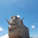 켄버라모텔 | 앨버리 숙소 추천, 호주 시드니~멜버른 자동차 여행, Albury 호텔 모텔 후기, 양석상 빅메리노 Big Merino