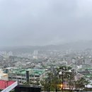 돈파렐라