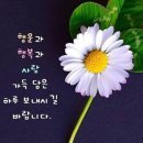 당신이 있어 좋은세상 이미지