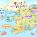 매화세탁소 이미지