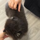 [푸꾸옥] 델루나스파 마사지,네일 후기