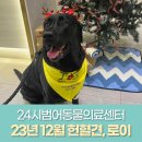 로이동물병원 이미지