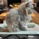 순이민박 이미지