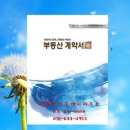 최영희공인중개사사무소 이미지