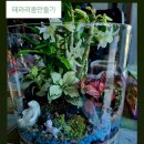 테라리움 - 파주시 방촌로 1184 | 테라리움