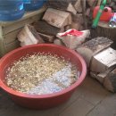 프라임주안 이미지