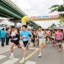 금천구 안양천 다목적광장 서울신문
