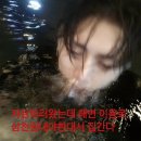 안녕요 나 취업했어
