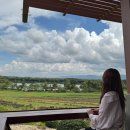 호텔레오 중앙점 | 하나투어 태국 패키지 엄마랑 치앙마이 여행 내돈내산 후기