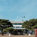 대덕구청 본관 이미지