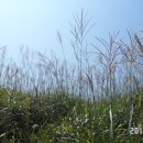 화왕산군립공원 Daum카페
