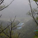 한봉축사 티스토리
