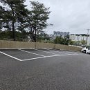 동해시-29 | 강릉 동해기정 기정떡 종류별로 포장 후기 (보관방법)