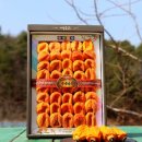 감골주유소 이미지