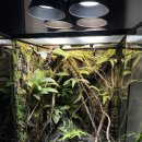 그루멍 프렌즈 이미지