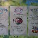 박광일참치 이미지