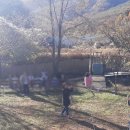 낙서초교병설유치원 이미지