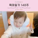 주식회사 아이엠게임 | [공지] 육아일기 148주 34개월 아기랑 제주여행 감귤따기 체험