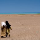 렌즈나라 이미지