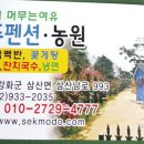 방주 농원 펜션 이미지