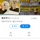 헬로뚜니