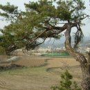 북후중학교 이미지