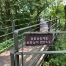 나들이숲 화장실 이미지