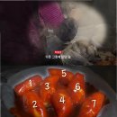 광장순대 티스토리