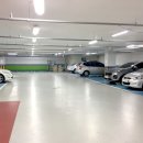 폴 닥터짐 이미지