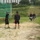 쪼당 헤럴드경제