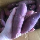 경일농장 이미지