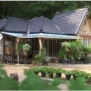 다시올민박 이미지