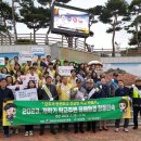 보성남초교, 보성초 이미지