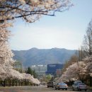 두류공원로 이미지