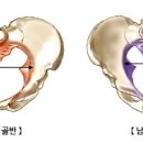 더블유필라테스 이미지