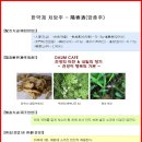 내일의향기
