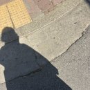 춤추는머리카락 - 광양시 | 춤추는머리카락