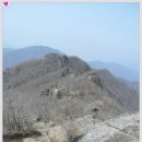 한국 100대명산 광양 백운산 (해발 1.218m) 산행후기 이미지