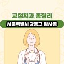 서울특별시 강동구 암사동 교정치과 총정리
