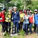 화산골산장